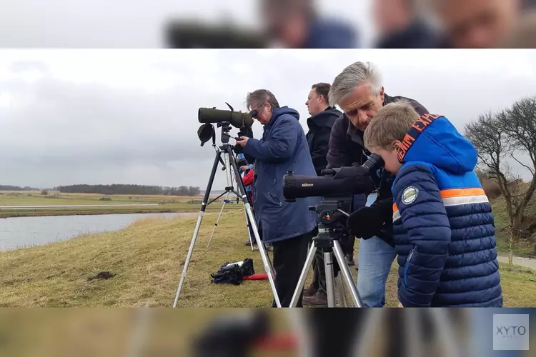 Zondag 1 en 8 maart 2020 Vogelkijkdagen bij Fort K&#39;IJK