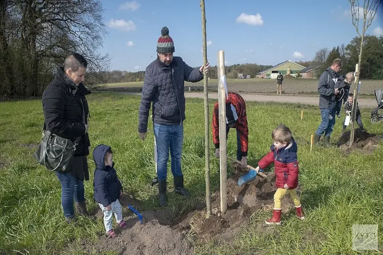 Plant een geboorteboom voor je kindje