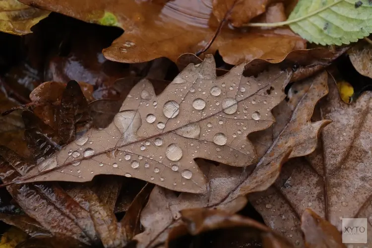 Start van de herfst brengt omslag in weer